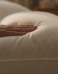 COZYVERA BED PILLOW PACK OF 2 (QUEEN SIZE 20X30 INCH) FOR USA,UK and Canada Customers